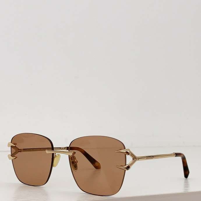 Picture of Roberto Cavalli Sunglasses _SKUfw53957884fw